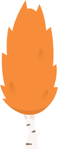 Orange tree